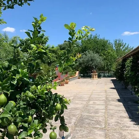 Chalet Tejoneras Bornos