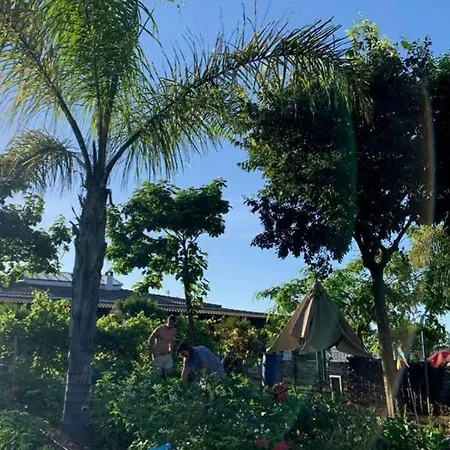 Tejoneras