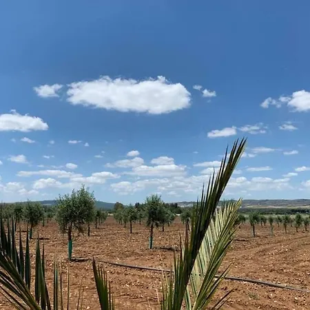 Tejoneras