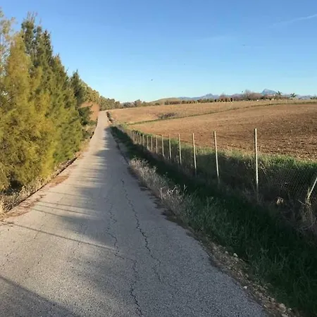 Tejoneras *