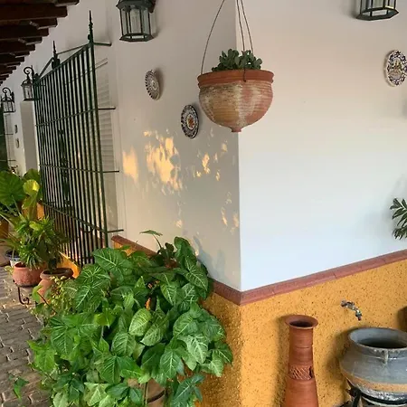 Tejoneras * Bornos