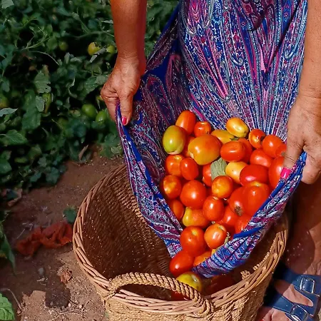 Tejoneras *